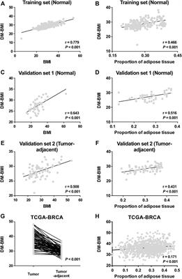 Integrative Analysis of Gene Expression and DNA Methylation Depicting the Impact of Obesity on Breast Cancer